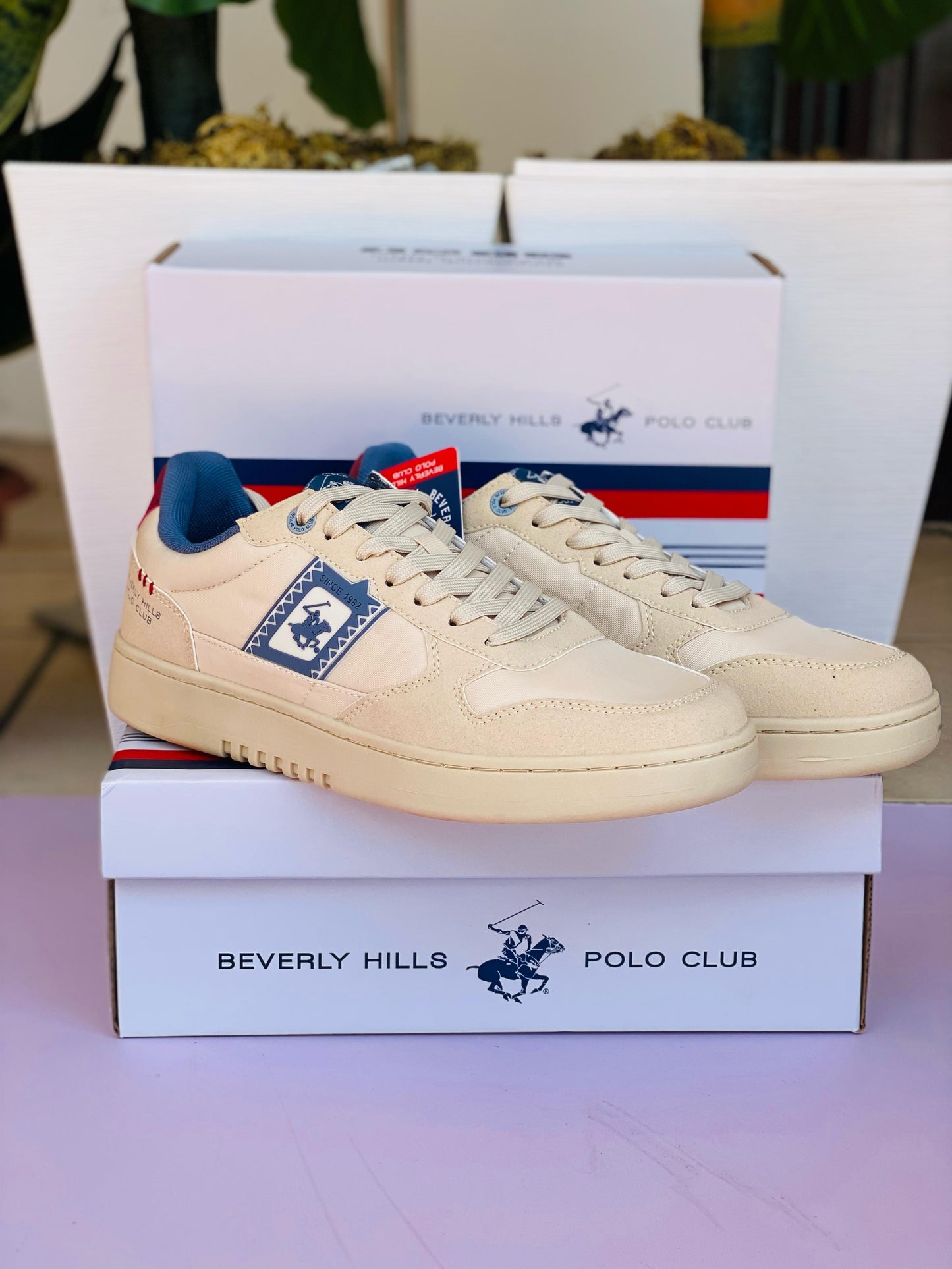 Tenis Polo club Beige hombre HOG-BG-M5-A 1115995
