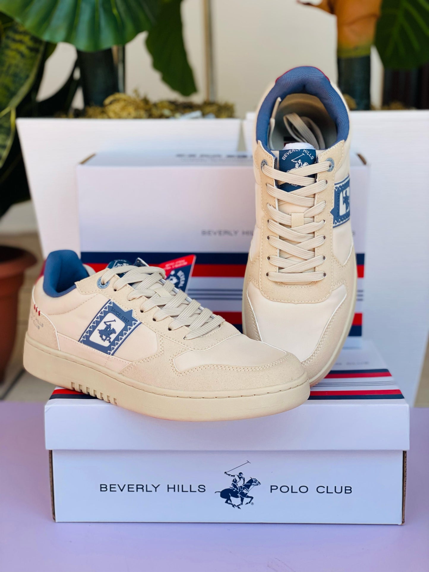 Tenis polo club hombre Beige HOG-BG-M5-B 1115995